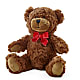 Adorable Plush Bear – Everythings Blooming Florist, San Jose CA