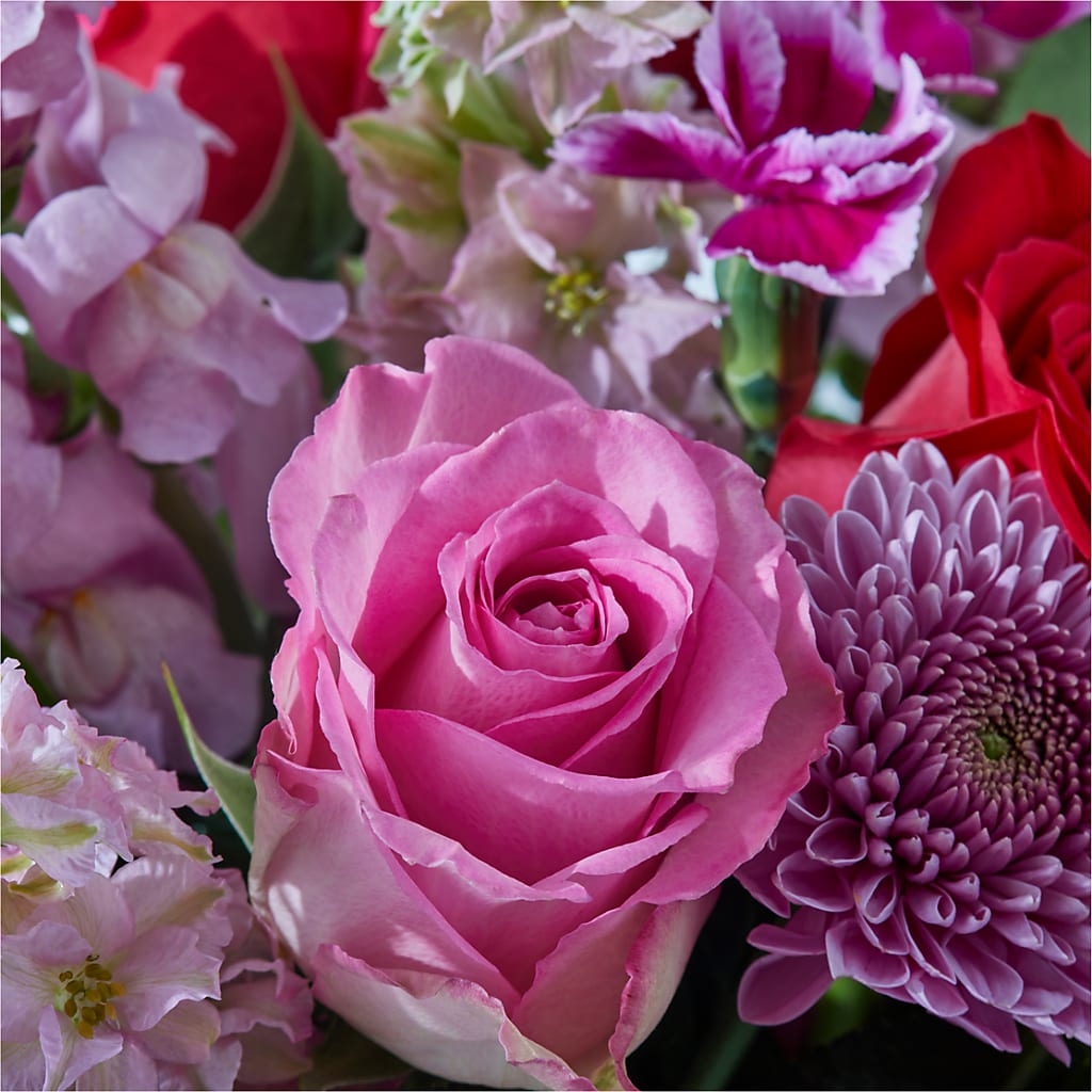 Better Together - A Luxury Florist Original – Everythings Blooming Florist, San Jose CA