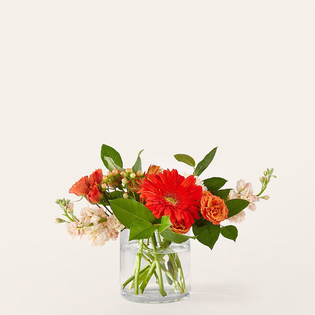 Paloma Please Bouquet – Everythings Blooming Florist, San Jose CA