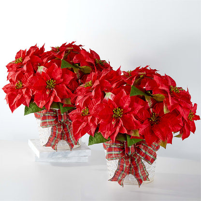 Happiest Holidays Poinsettia Bundle –  Everythings Blooming Florist, San Jose CA