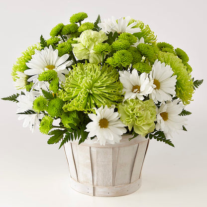 Lucky Charm Basket (Standard) –  Everythings Blooming Florist, San Jose CA