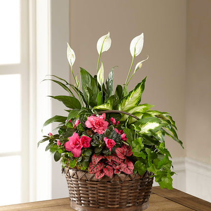 Dream in Pink Dishgarden –  Everythings Blooming Florist, San Jose CA