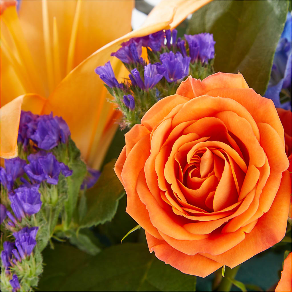 Radiant Citrus Box Bouquet –  Everythings Blooming Florist, San Jose CA