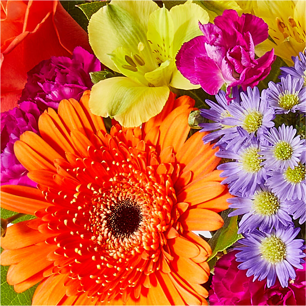Tricks & Treats Pumpkin –  Everythings Blooming Florist, San Jose CA