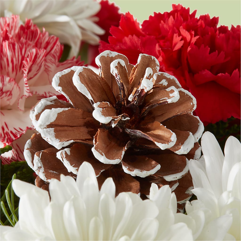 Candy Cane Lane Bouquet –  Everythings Blooming Florist, San Jose CA