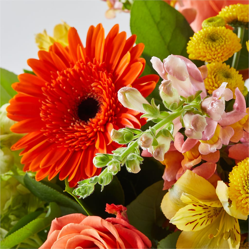 Autumn Sunshine Bouquet –  Everythings Blooming Florist, San Jose CA