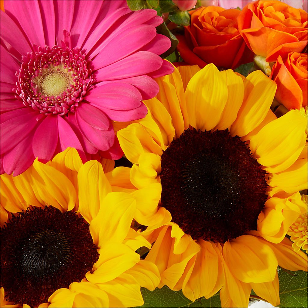 Beach Day Bouquet –  Everythings Blooming Florist, San Jose CA