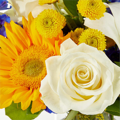 Stargazing Bouquet –  Everythings Blooming Florist, San Jose CA