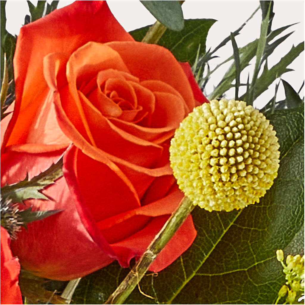 Disco Bouquet –  Everythings Blooming Florist, San Jose CA