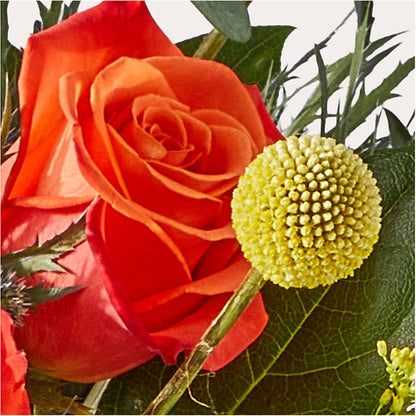 Disco Bouquet –  Everythings Blooming Florist, San Jose CA