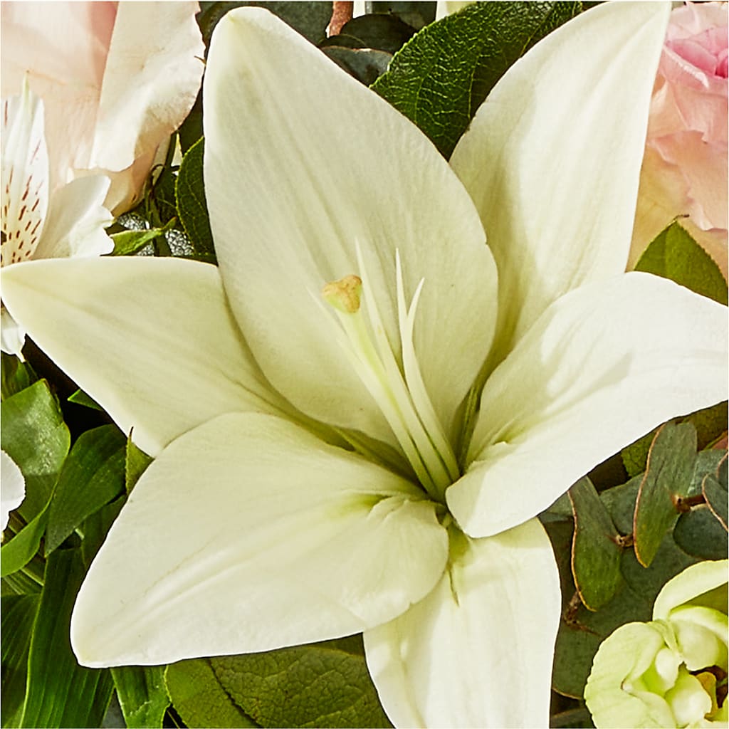 Ballet Slippers Bouquet –  Everythings Blooming Florist, San Jose CA