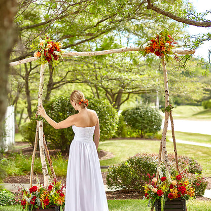 Arbor of Love Archway –  Everythings Blooming Florist, San Jose CA